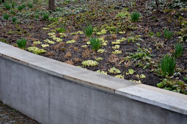 Cost of Concrete Wall Construction in Mcallen