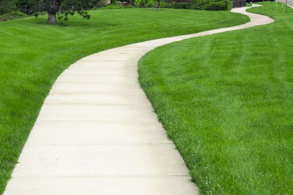 Cost of Pathway Replacement in Mcallen