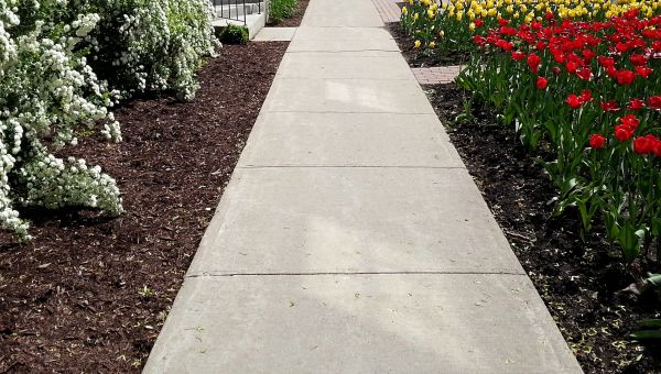 Cost of Sidewalk Slab Replacement in Mcallen